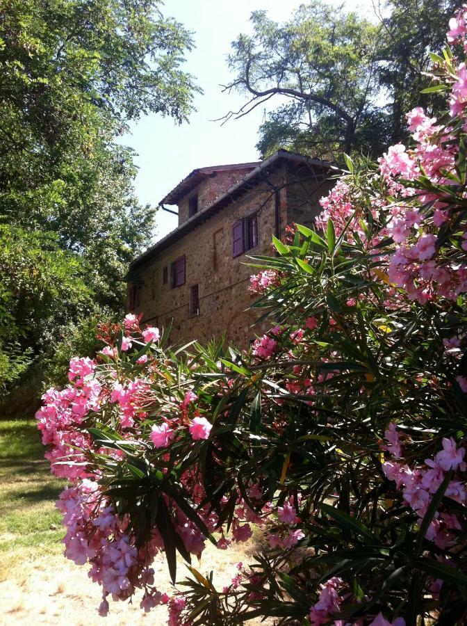 Farmhouse B&B Il Paretaio Barberino di Val dʼElsa Екстериор снимка