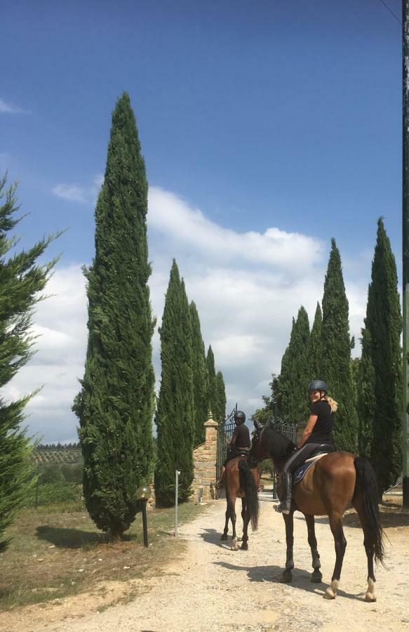 Farmhouse B&B Il Paretaio Barberino di Val dʼElsa Екстериор снимка