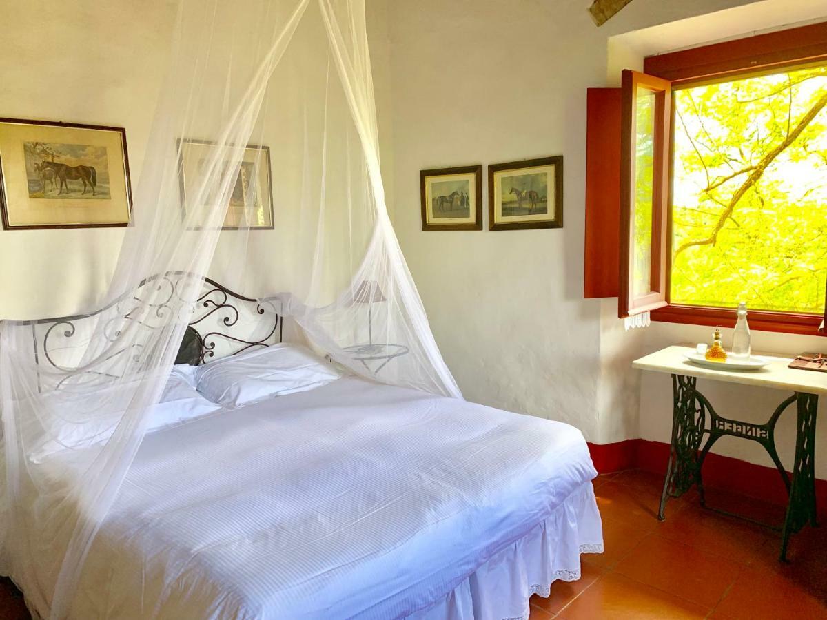 Farmhouse B&B Il Paretaio Barberino di Val dʼElsa Екстериор снимка